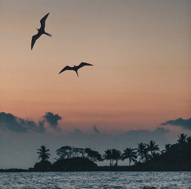 Two large birds fly over the horizon as the sun sets at Islas Secas resort | Islas Secas