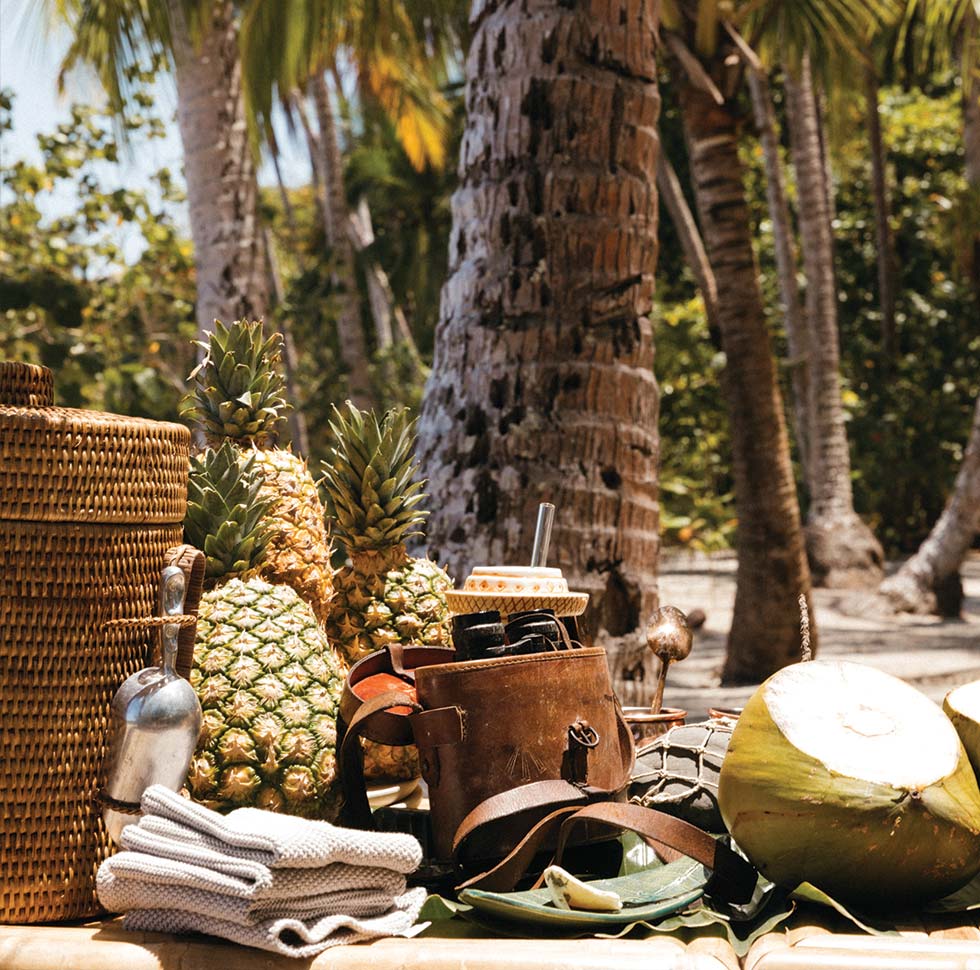 Local fruits collected from the trees at Islas Secas, a sustainable resort off the coast of Panama A view of one of the luxurious bedrooms at Islas Secas designed to blend in with the tropical surroundings | Islas Secas