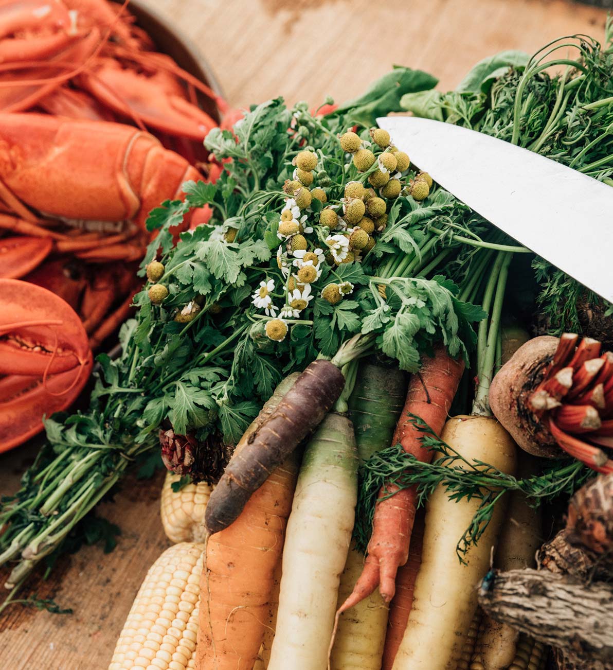 Fresh locally grown vegetables are part the high quality ingredients chefs at the Islas Secas resort use | Islas Secas