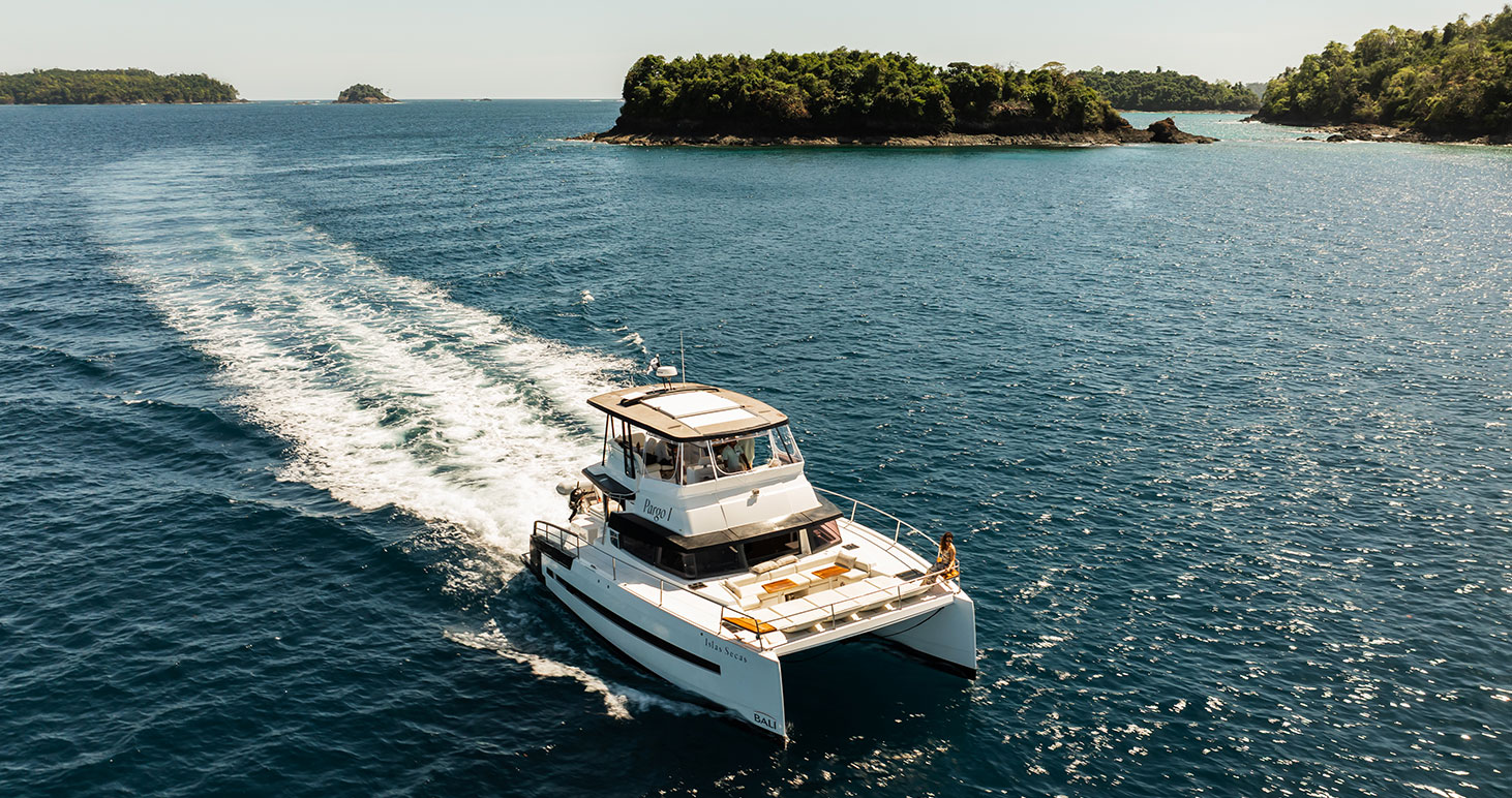 Marine Safari: Where Conservation Meets Adventure